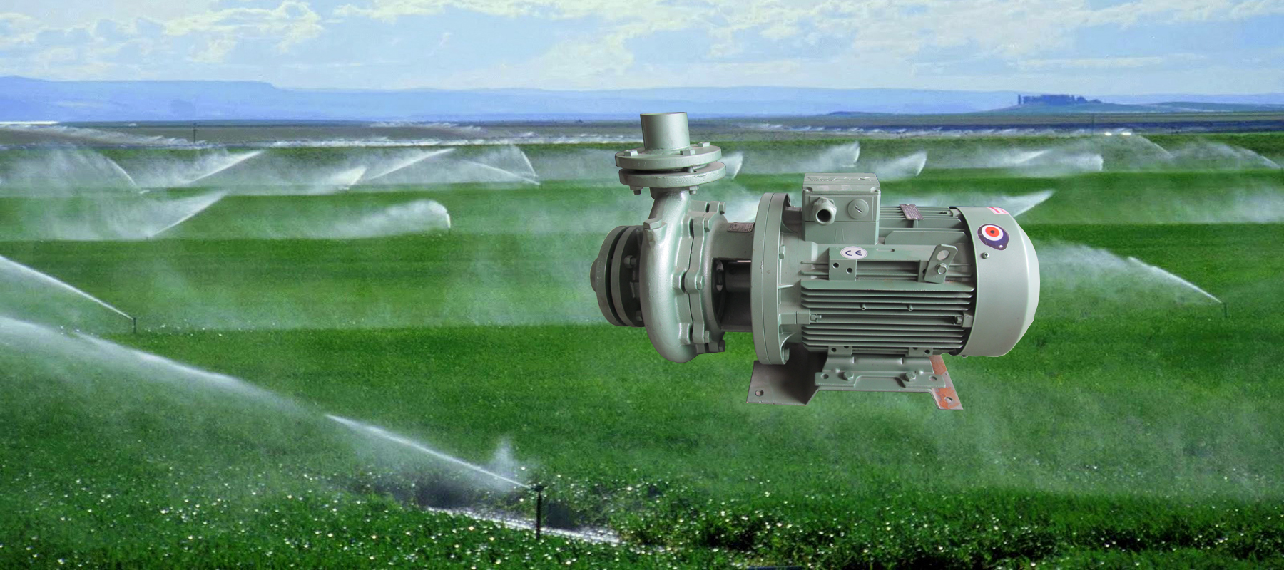 MONOBLOK TİPİ POMPALAR 